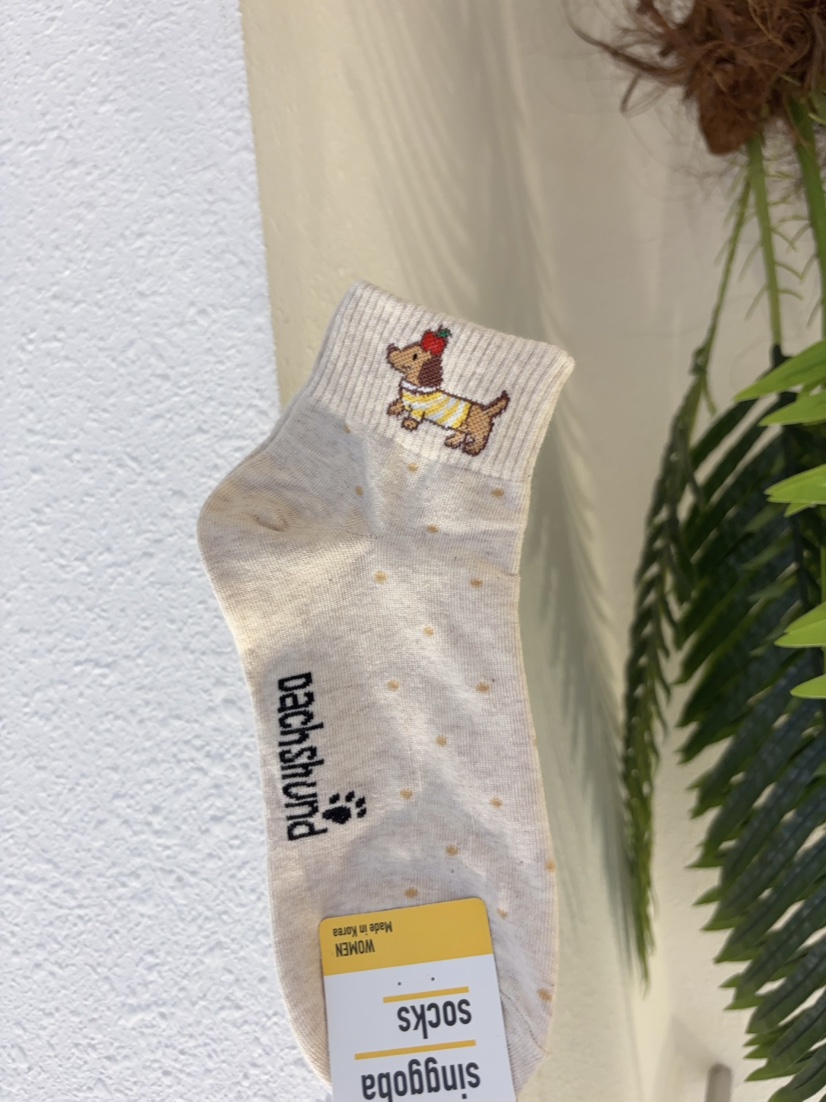 CACTUS-Q東大門直郵女裝新款職業熱賣時尚26春夏休閑襪子CACTUS十雙起/可混搭襪子圖色2