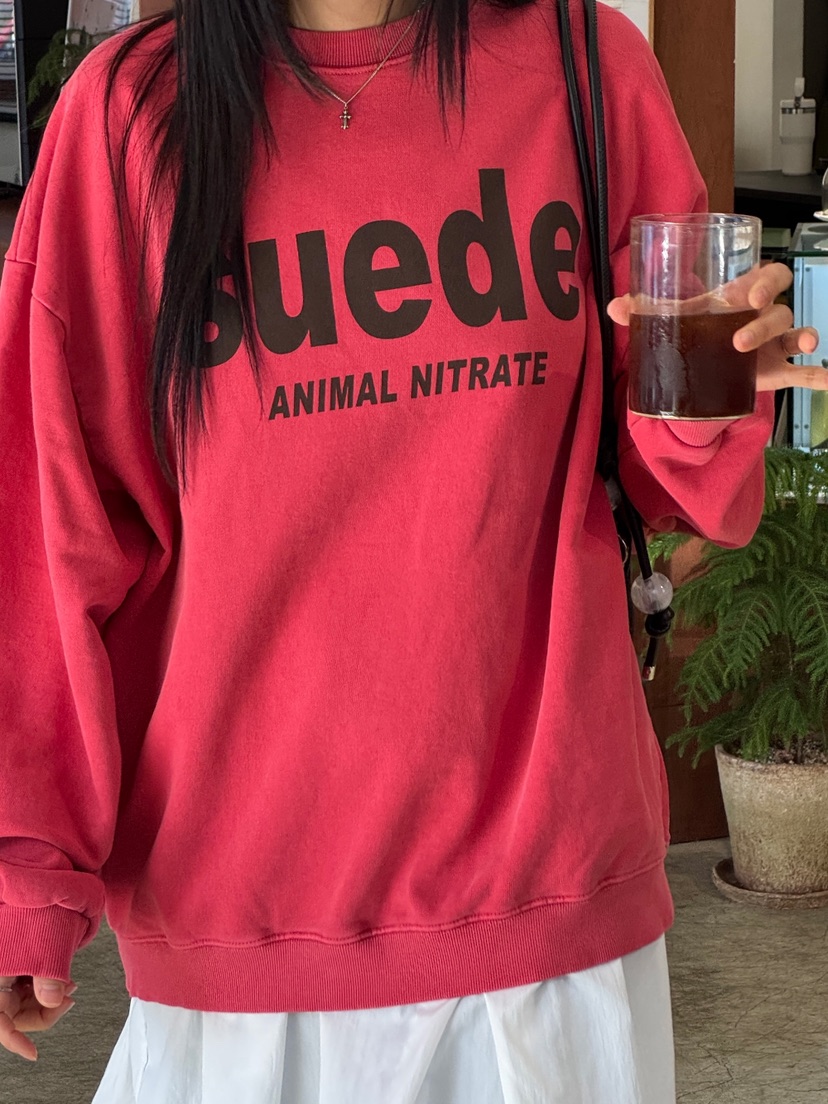 KSUBI東大門代購女裝新品休閑推薦26春夏人氣真品時尚衛衣BURROW/ARaakie衛衣圖色2