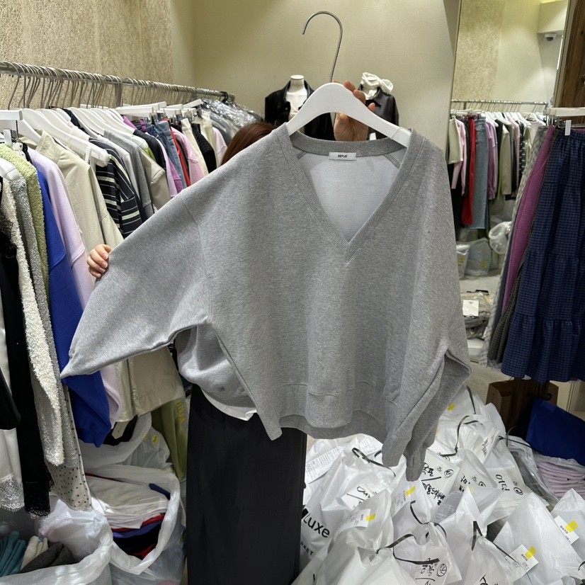 REFLAT韓國直郵女裝新款推薦真品時尚26春夏衛衣不含內搭REFLAT衛衣圖色3