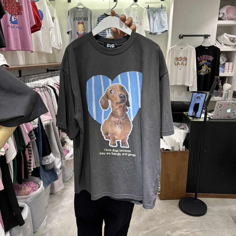 EVE韓國直郵女裝新款26春夏職業時尚人氣推薦熱賣休閑T恤EVET恤圖色3