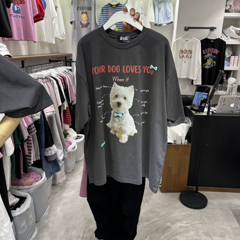 EVE韓國直郵女士新品人氣職業26春夏時尚推薦休閑熱賣T恤EVET恤圖色3