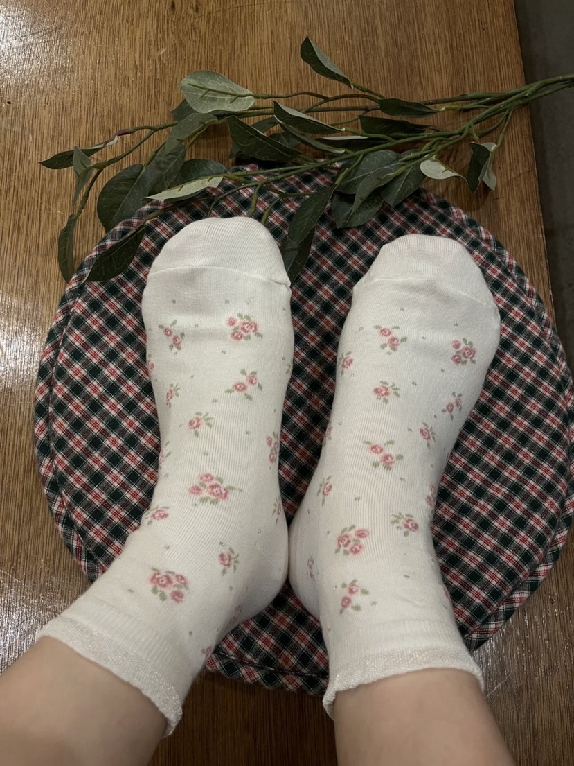 CACTUS-Q東大門直郵女士新款職業26春夏時尚熱賣真品襪子CACTUS十雙起/可混搭襪子