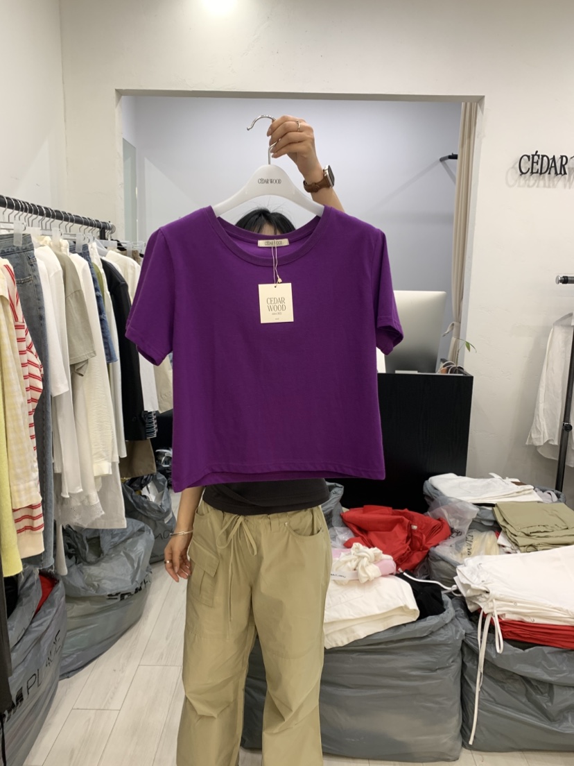 CEDARWOOD韓國東大門直郵女裝新款推薦26春夏職業人氣T恤CEDAR WOODT恤圖色5