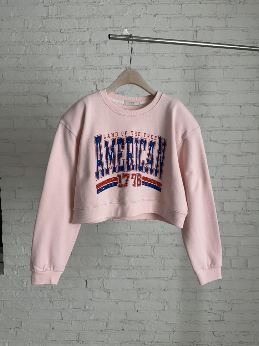 ONL東大門實拍女士新款26春夏人氣推薦休閑職業真品熱賣衛衣ONL衛衣圖色2