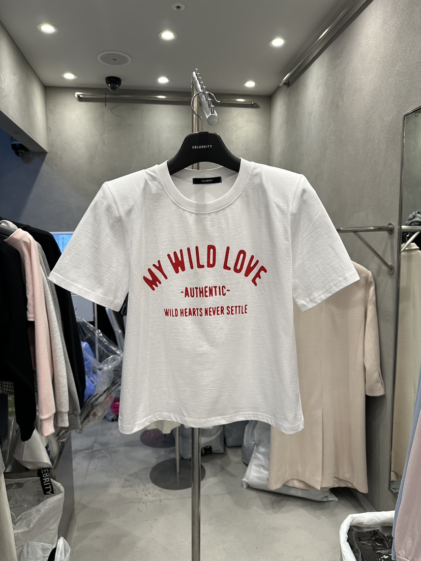 CELEBRITY-A東大門直郵女裝新品26春夏推薦時尚職業休閑T恤CELEBRITY-AT恤圖色1