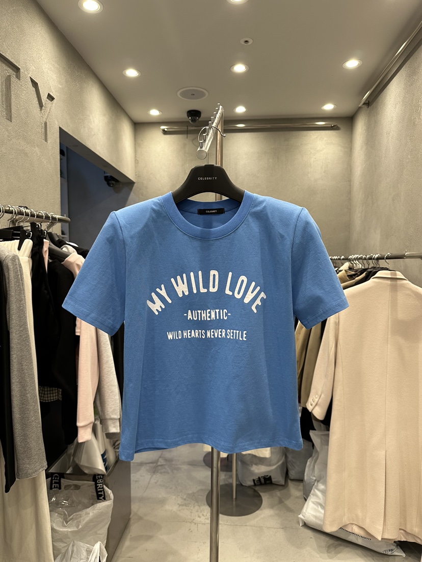 CELEBRITY-A東大門直郵女裝新品26春夏推薦時尚職業休閑T恤CELEBRITY-AT恤圖色2