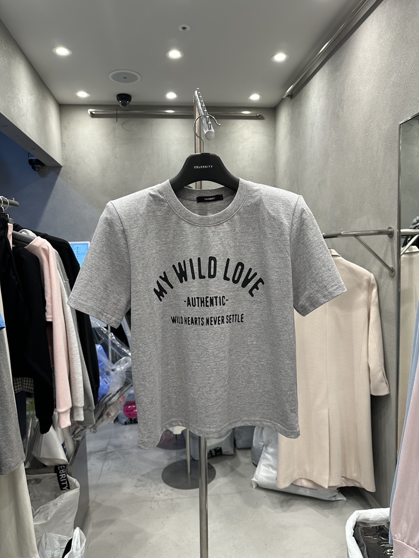 CELEBRITY-A東大門直郵女裝新品26春夏推薦時尚職業休閑T恤CELEBRITY-AT恤圖色3