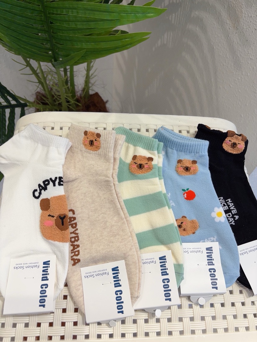 CACTUS-Q韓國代購女裝新款休閑26春夏熱賣時尚人氣職業襪子CACTUS十雙起/可混搭襪子