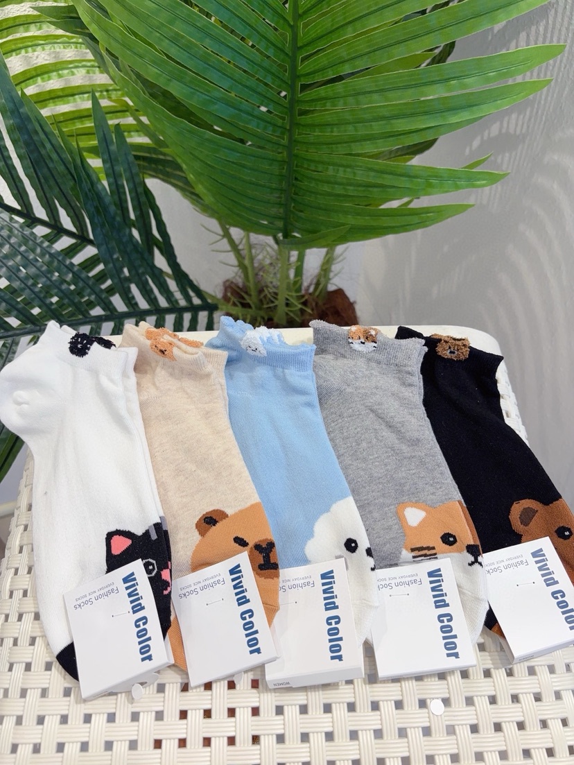 CACTUS-Q韓國直郵實拍女裝新品熱賣時尚推薦職業休閑襪子CACTUS十雙起/可混搭襪子