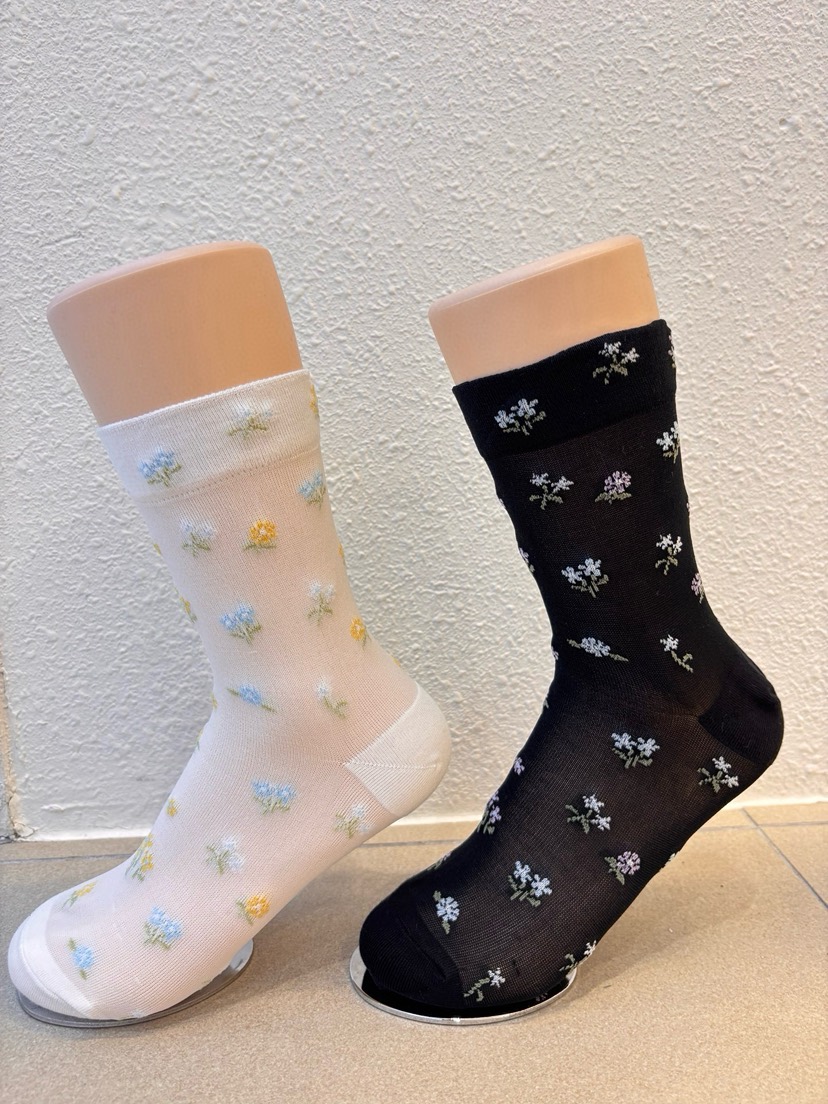 CACTUS-Q韓國直郵女士新款熱賣時尚人氣26春夏休閑推薦襪子CACTUS十雙起/可混搭襪子