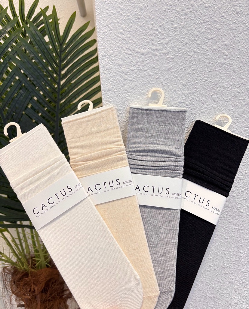 CACTUS-Q韓國東大門代購女裝新款休閑26春夏職業推薦襪子CACTUS十雙起/可混搭襪子