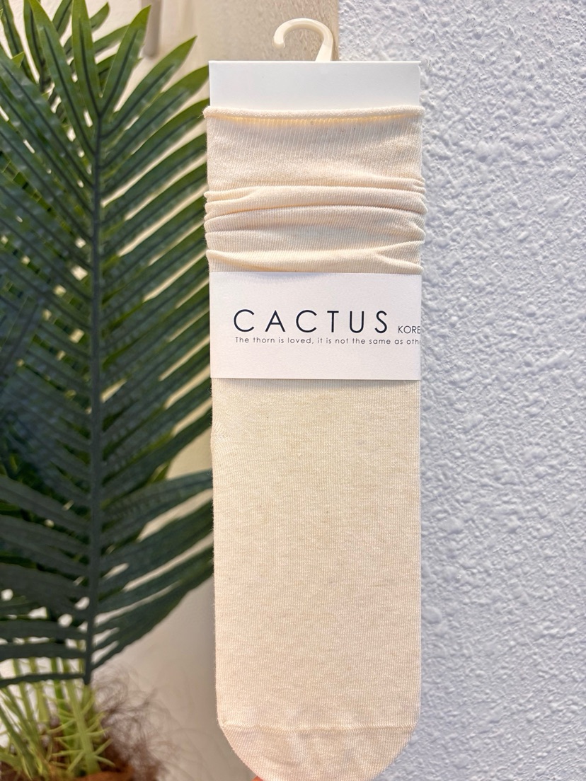 CACTUS-Q韓國東大門代購女裝新款休閑26春夏職業推薦襪子CACTUS十雙起/可混搭襪子圖色2
