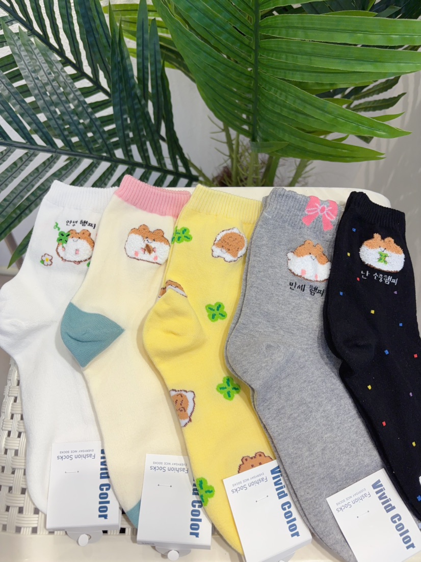 CACTUS-Q韓國直郵實拍女裝新款26春夏人氣時尚熱賣休閑襪子CACTUS十雙起/可混搭襪子