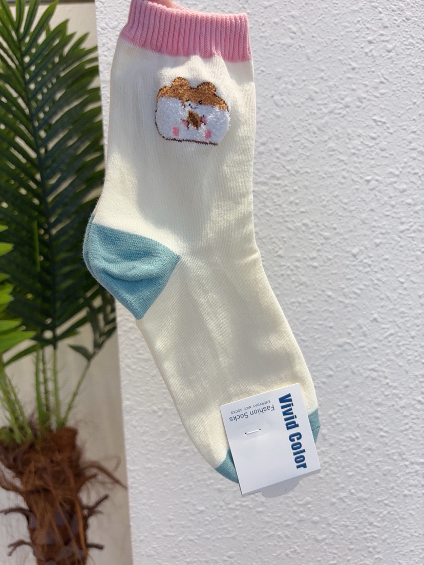 CACTUS-Q韓國直郵實拍女裝新款26春夏人氣時尚熱賣休閑襪子CACTUS十雙起/可混搭襪子圖色2