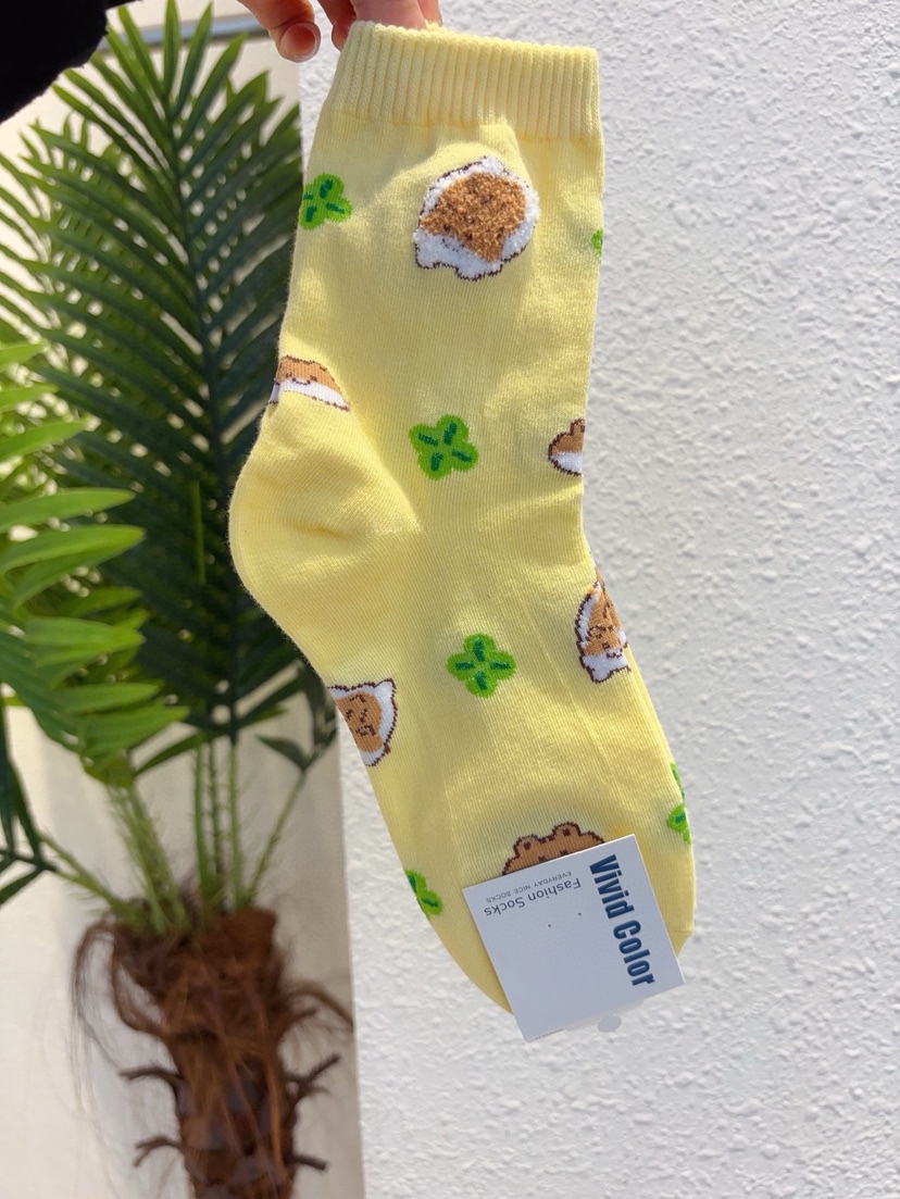 CACTUS-Q韓國直郵實拍女裝新款26春夏人氣時尚熱賣休閑襪子CACTUS十雙起/可混搭襪子圖色3