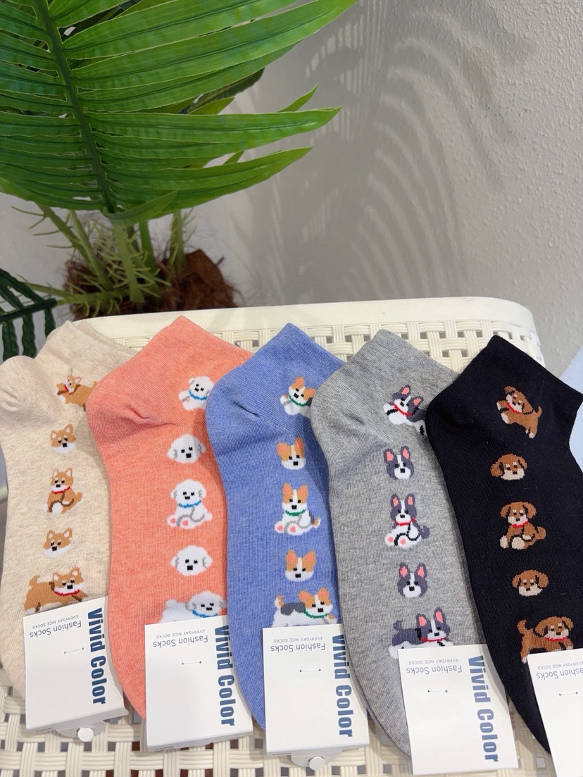 CACTUS-Q韓國直郵實拍女裝新品人氣26春夏職業時尚熱賣襪子CACTUS十雙起/可混搭襪子