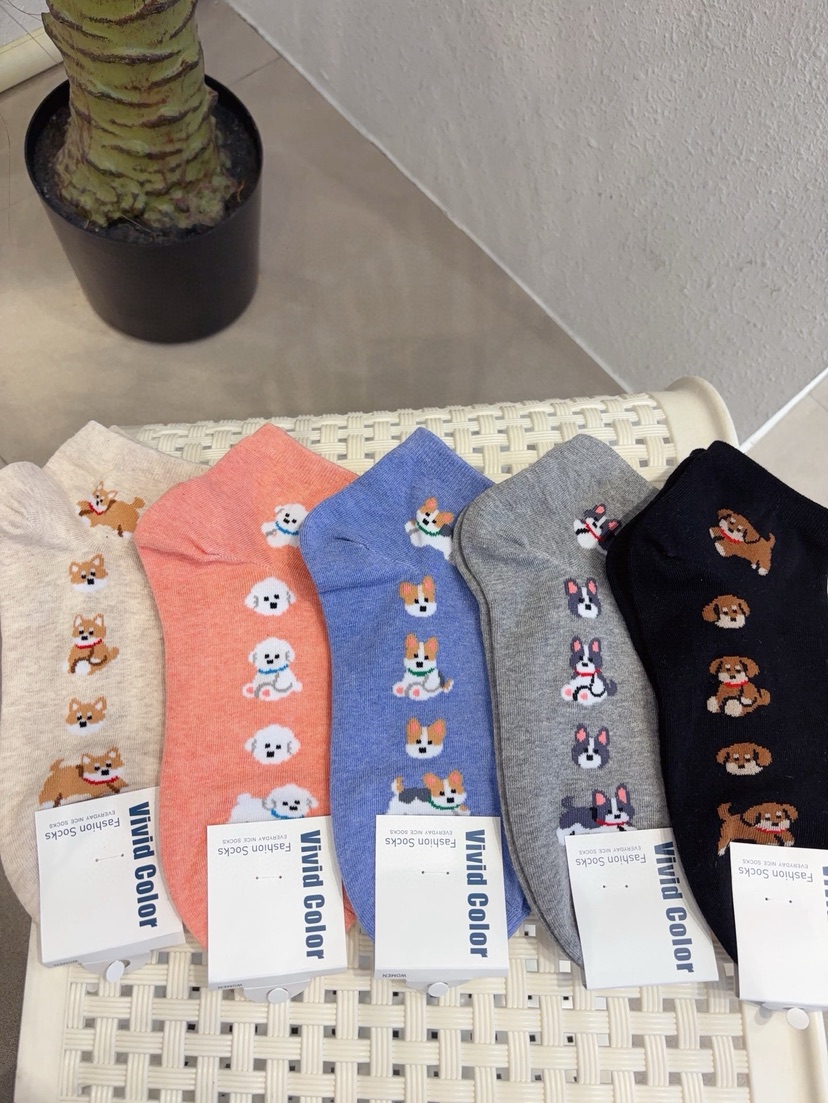 CACTUS-Q韓國直郵實拍女裝新品人氣26春夏職業時尚熱賣襪子CACTUS十雙起/可混搭襪子