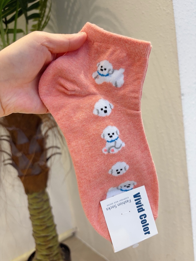 CACTUS-Q韓國直郵實拍女裝新品人氣26春夏職業時尚熱賣襪子CACTUS十雙起/可混搭襪子圖色2