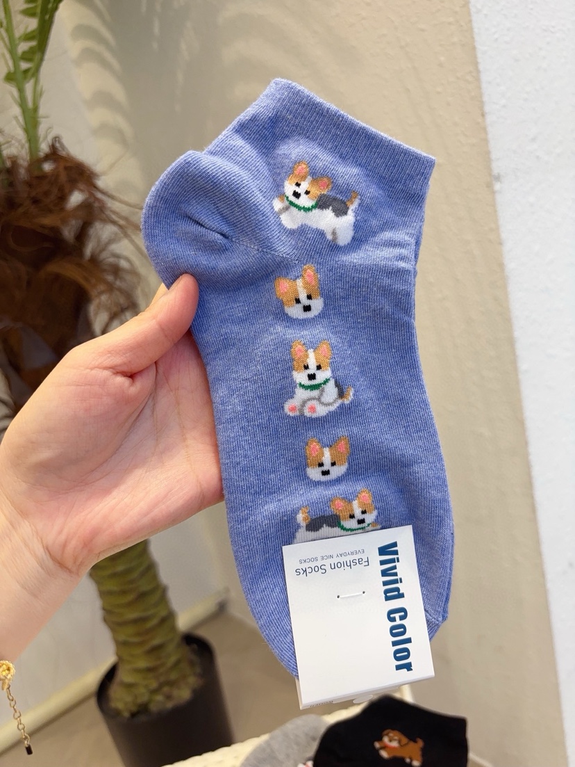 CACTUS-Q韓國直郵實拍女裝新品人氣26春夏職業時尚熱賣襪子CACTUS十雙起/可混搭襪子圖色3