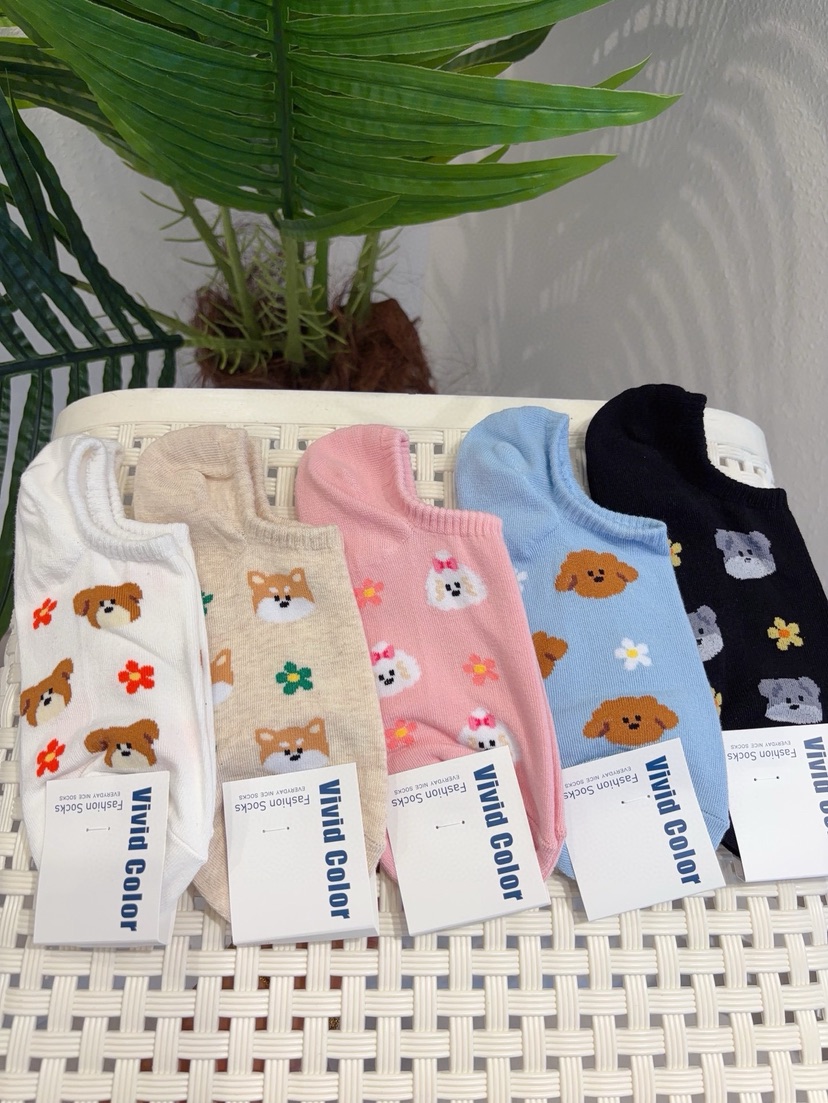 CACTUS-Q韓國東大門直郵女士新品人氣休閑熱賣26春夏襪子CACTUS十雙起/可混搭襪子