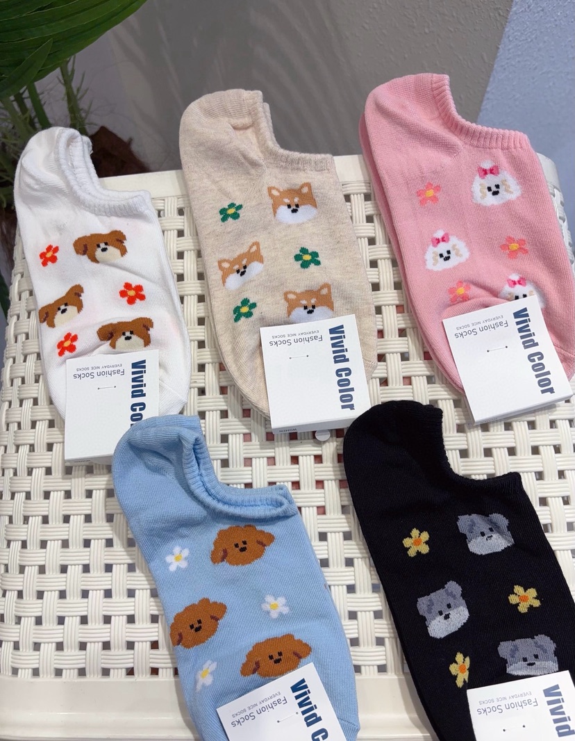 CACTUS-Q韓國東大門直郵女士新品人氣休閑熱賣26春夏襪子CACTUS十雙起/可混搭襪子