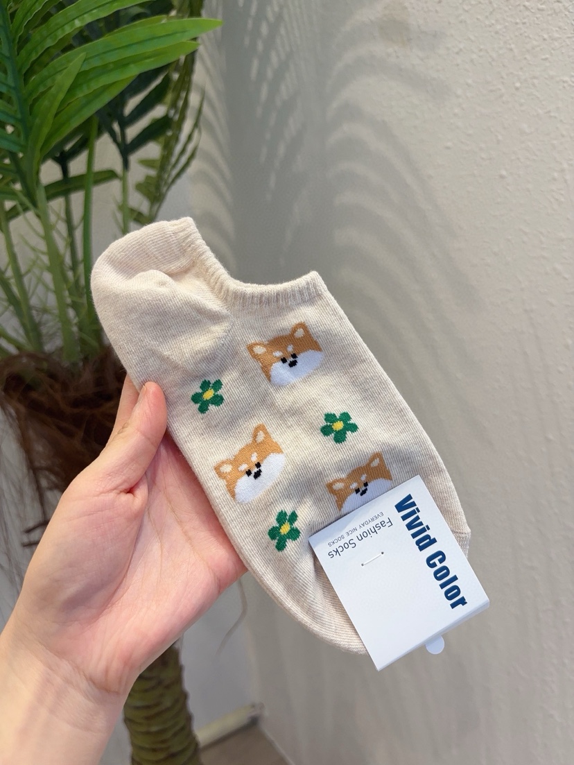 CACTUS-Q韓國東大門直郵女士新品人氣休閑熱賣26春夏襪子CACTUS十雙起/可混搭襪子圖色2