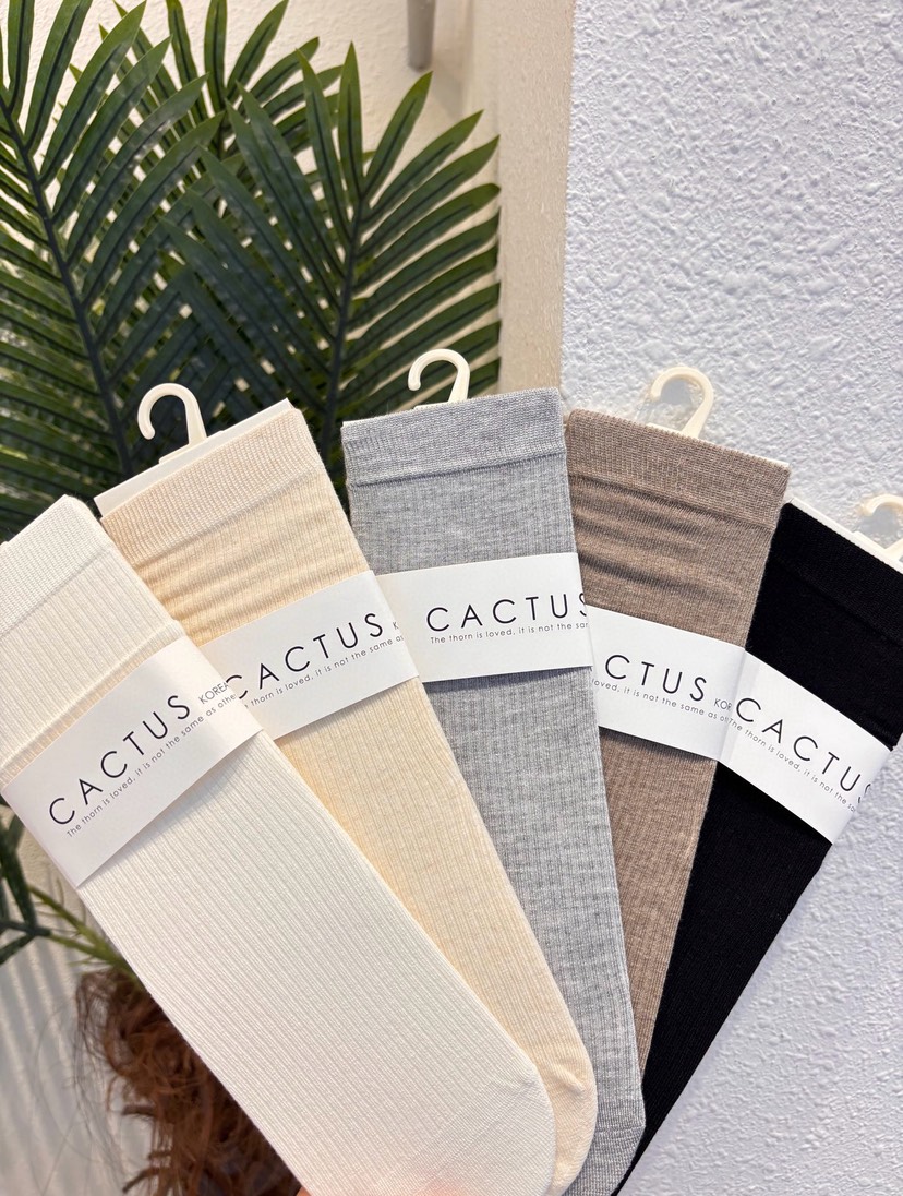 CACTUS-Q韓國直郵女士新款推薦職業人氣時尚休閑26春夏襪子CACTUS十雙起/可混搭襪子
