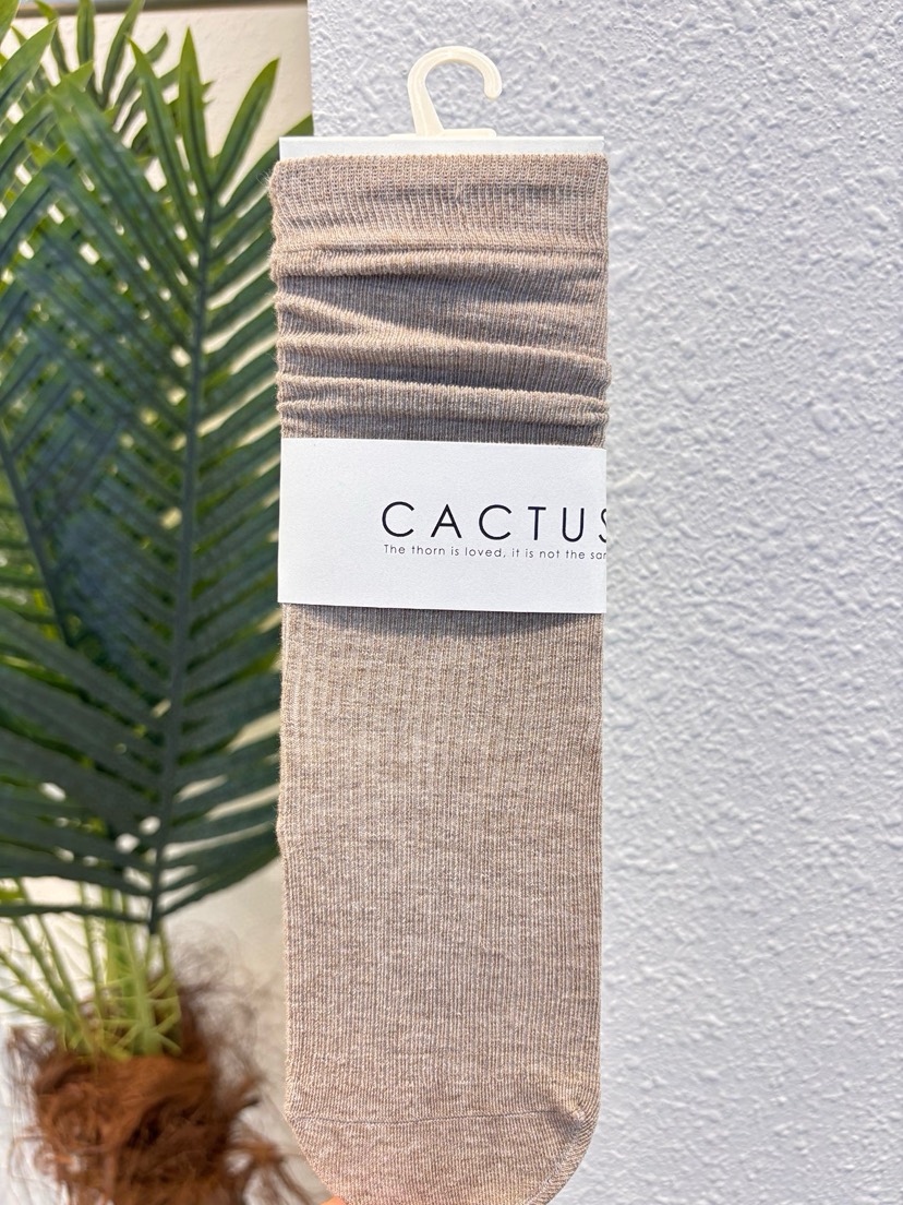 CACTUS-Q韓國直郵女士新款推薦職業人氣時尚休閑26春夏襪子CACTUS十雙起/可混搭襪子圖色4