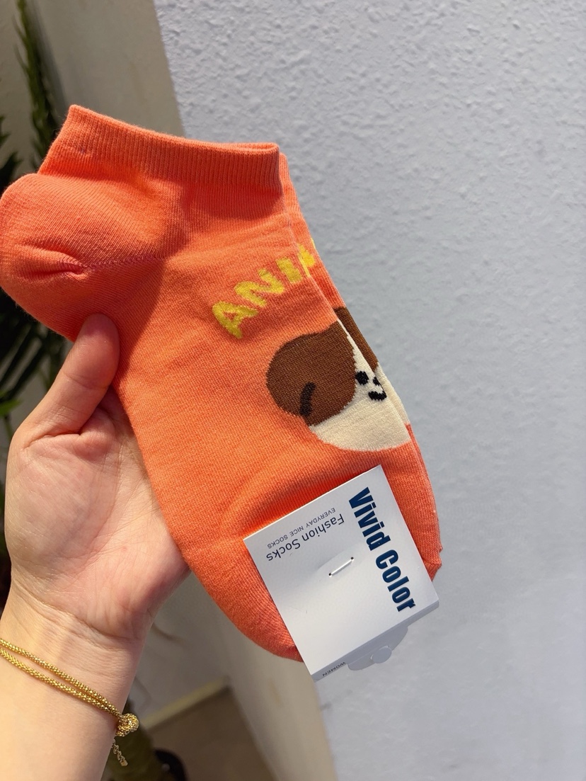 CACTUS-Q韓國東大門直郵女士新款推薦26春夏職業時尚襪子CACTUS十雙起/可混搭襪子圖色3