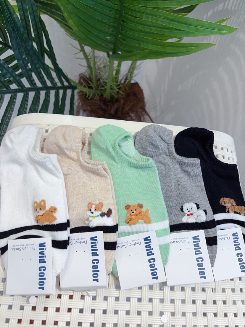 CACTUS-Q韓國東大門直郵女士新款人氣時尚休閑26春夏襪子CACTUS十雙起/可混搭襪子