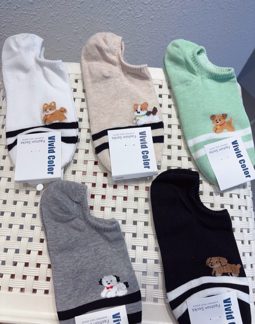 CACTUS-Q韓國東大門直郵女士新款人氣時尚休閑26春夏襪子CACTUS十雙起/可混搭襪子