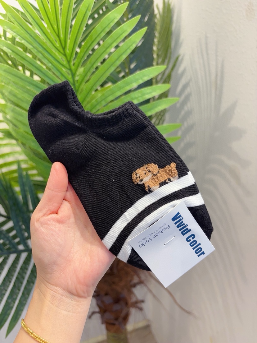 CACTUS-Q韓國東大門直郵女士新款人氣時尚休閑26春夏襪子CACTUS十雙起/可混搭襪子圖色5