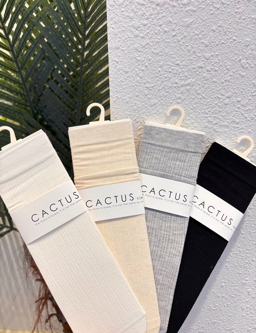 CACTUS-Q韓國東大門直郵女士新款26春夏推薦熱賣時尚襪子CACTUS十雙起/可混搭襪子