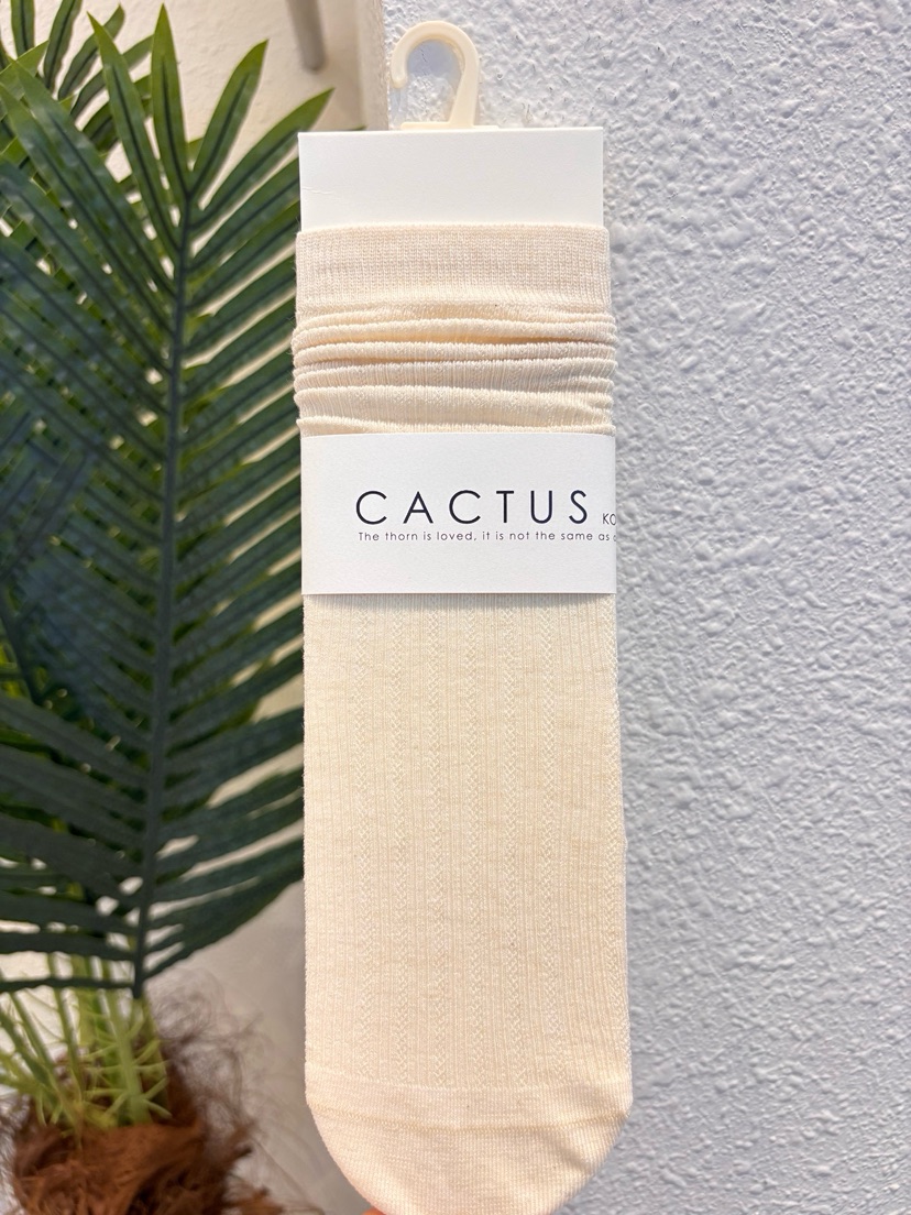 CACTUS-Q韓國東大門直郵女士新款26春夏推薦熱賣時尚襪子CACTUS十雙起/可混搭襪子圖色2