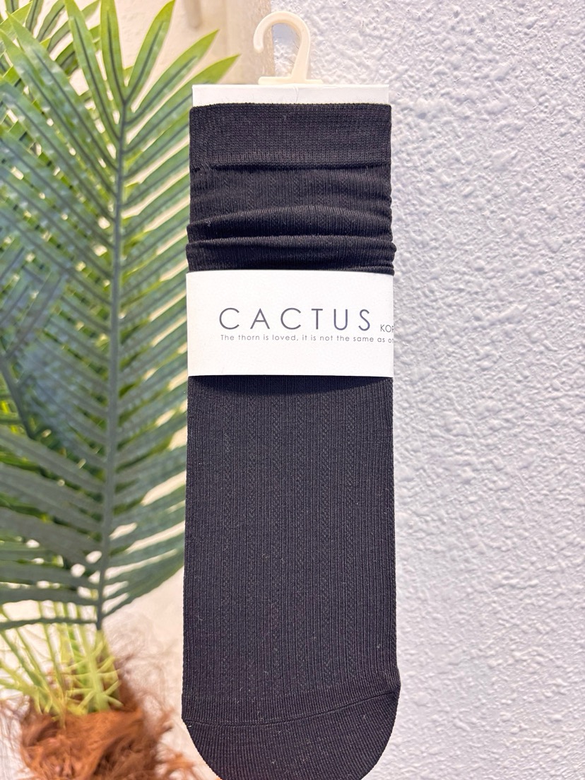CACTUS-Q韓國東大門直郵女士新款26春夏推薦熱賣時尚襪子CACTUS十雙起/可混搭襪子圖色4