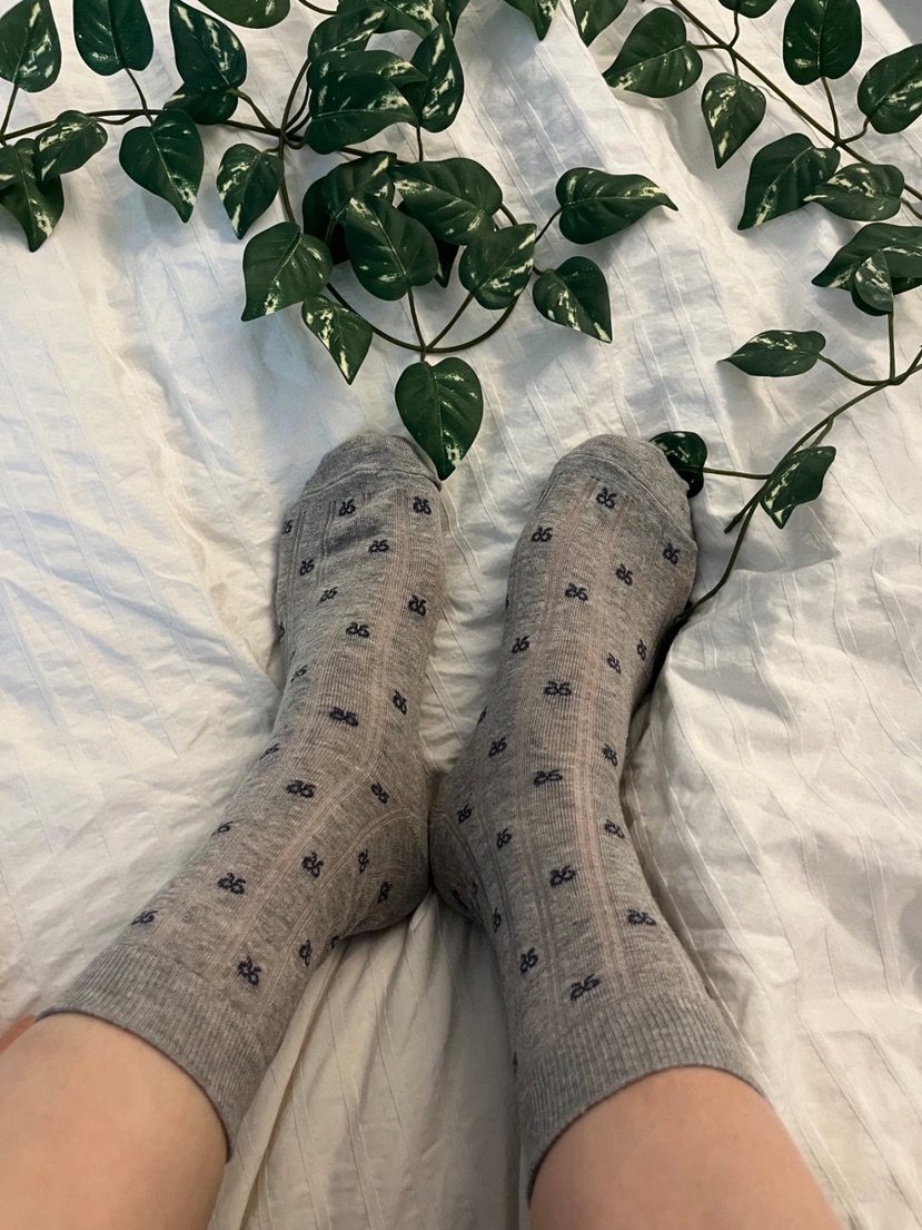 CACTUS-Q韓國東大門直郵女士新品職業熱賣26春夏推薦襪子CACTUS十雙起/可混搭襪子