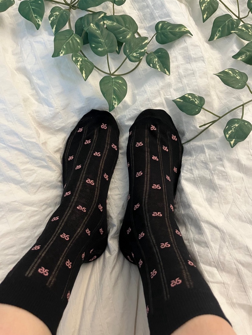 CACTUS-Q韓國東大門直郵女士新品職業熱賣26春夏推薦襪子CACTUS十雙起/可混搭襪子