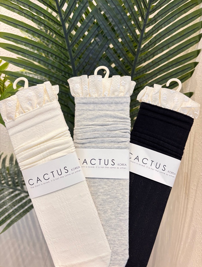 CACTUS-Q韓國代購女士新品人氣時尚休閑熱賣推薦26春夏襪子CACTUS十雙起/可混搭襪子