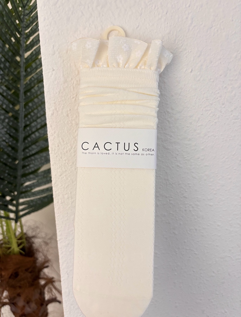 CACTUS-Q韓國代購女士新品人氣時尚休閑熱賣推薦26春夏襪子CACTUS十雙起/可混搭襪子圖色1