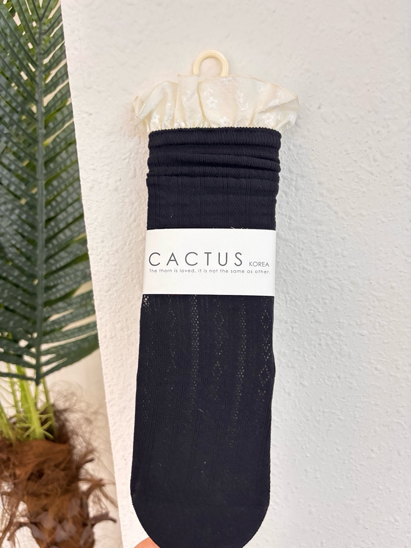 CACTUS-Q韓國代購女士新品人氣時尚休閑熱賣推薦26春夏襪子CACTUS十雙起/可混搭襪子圖色3