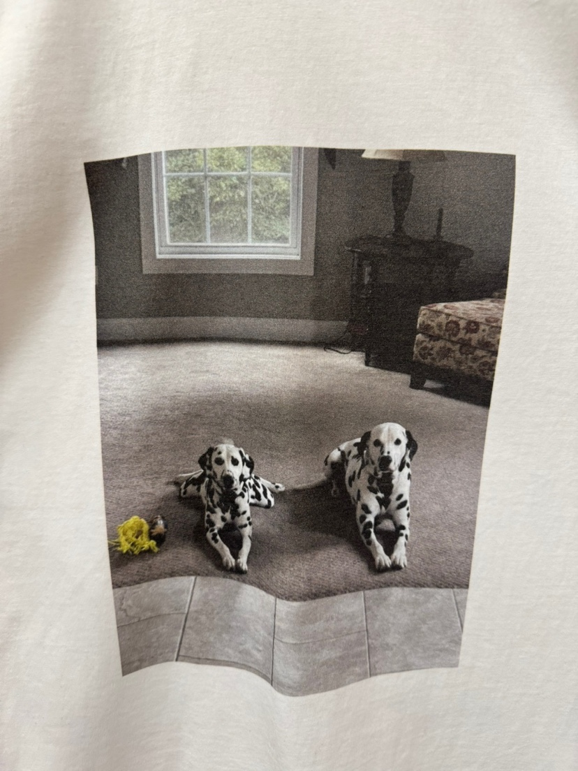 PROJECTVIEW韓國代購女士新款26春夏熱賣推薦人氣休閑T恤PROJECTVIEWT恤