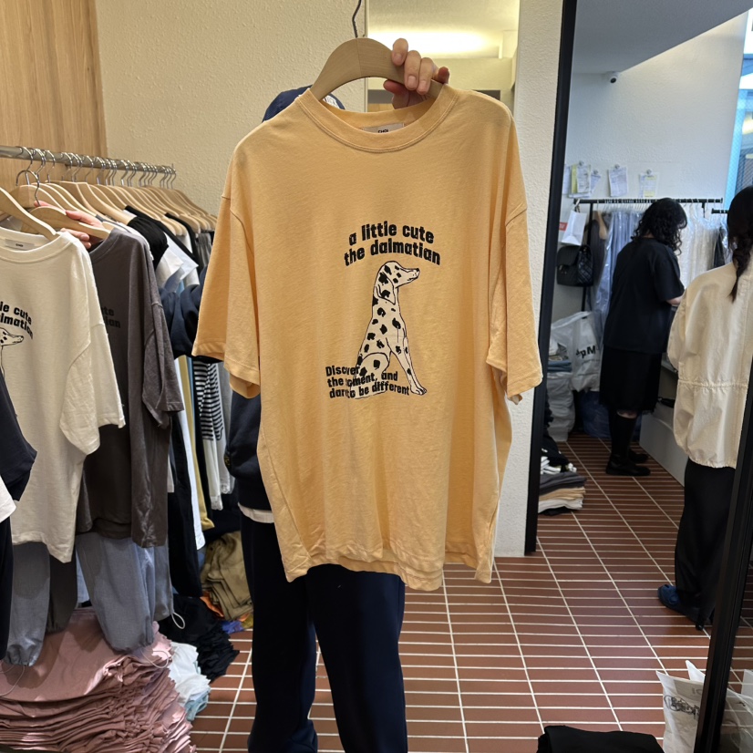 CHOI-L韓國代購女裝新款時尚休閑26春夏熱賣推薦人氣T恤CHOIT恤圖色2