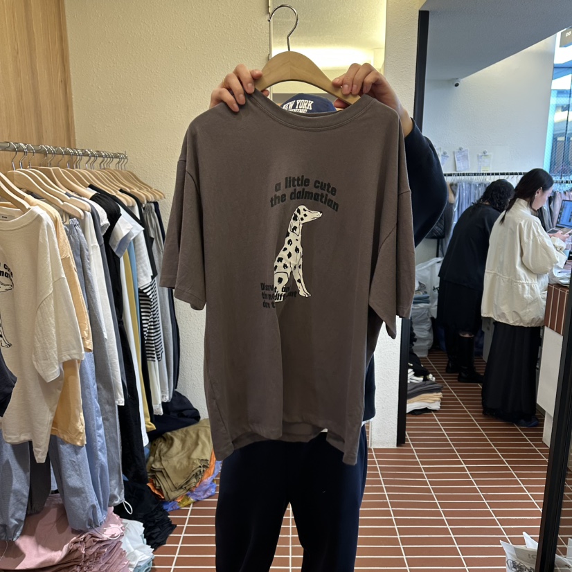 CHOI-L韓國代購女裝新款時尚休閑26春夏熱賣推薦人氣T恤CHOIT恤圖色3