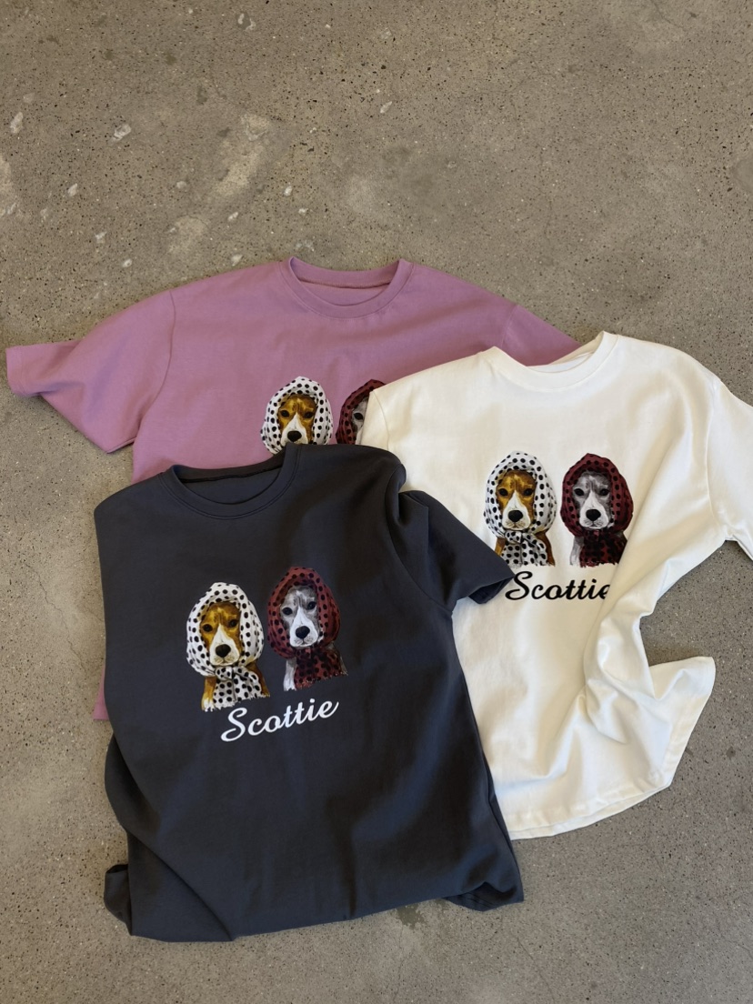 COCOMATON韓國代購女士新品推薦時尚熱賣職業休閑人氣T恤COCOMATONT恤