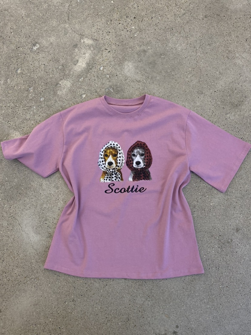 COCOMATON韓國代購女士新品推薦時尚熱賣職業休閑人氣T恤COCOMATONT恤