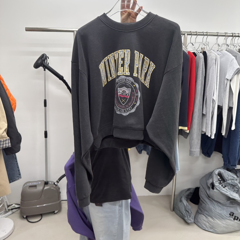 TOPDRESSING韓國東大門代購女裝新款26春夏推薦時尚休閑衛衣TOPDRESSING衛衣圖色2