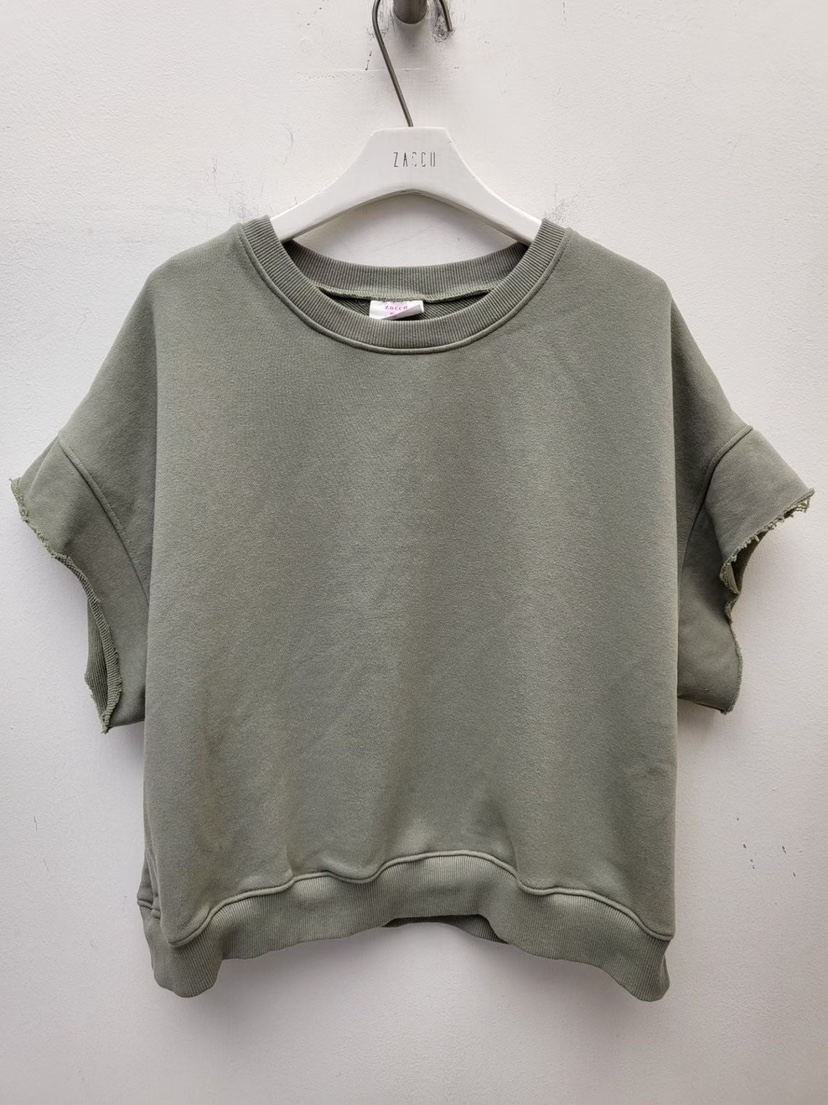 ZACCU韓國直郵女裝新品熱賣真品推薦人氣職業時尚休閑T恤ZACCUT恤圖色1