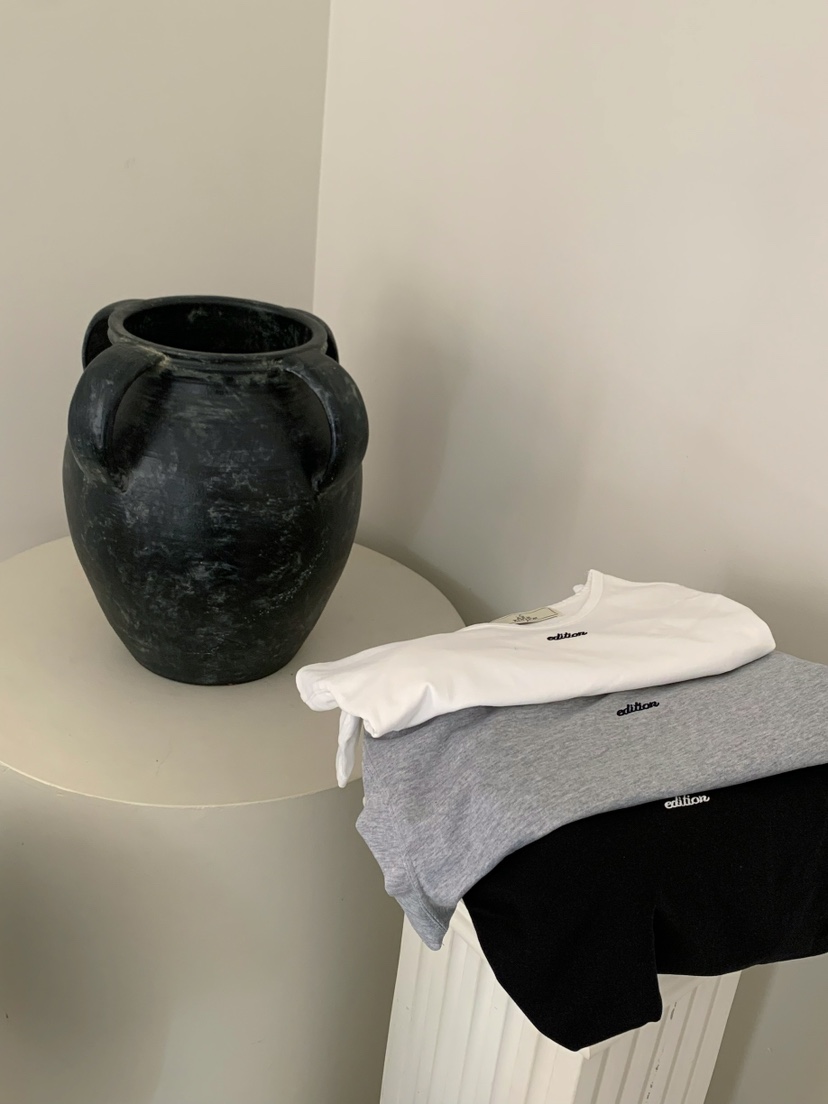 A Flan韓國直郵女裝新款真品時尚人氣休閑熱賣26春夏T恤AFN/FLAN EDITIONT恤