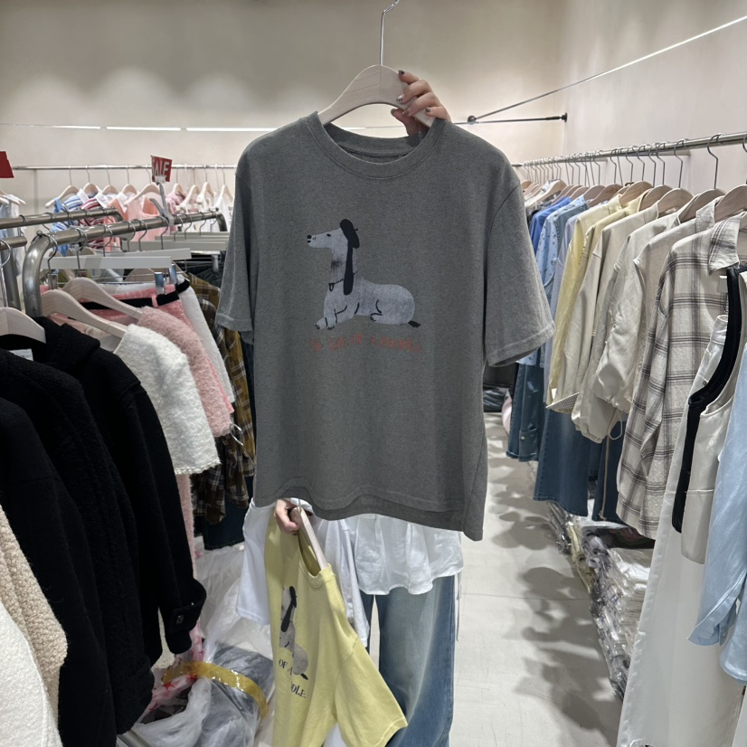 Color B韓國直郵女士新款人氣26春夏推薦休閑時尚職業T恤Color BT恤圖色2