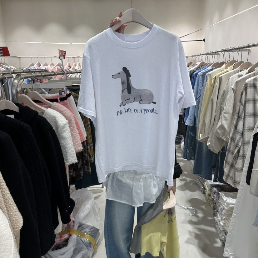 Color B韓國直郵女士新款人氣26春夏推薦休閑時尚職業T恤Color BT恤圖色3